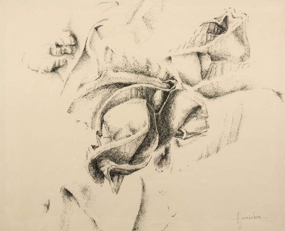 Echarpe rêveuse (Encre de chine) 64x75 350€