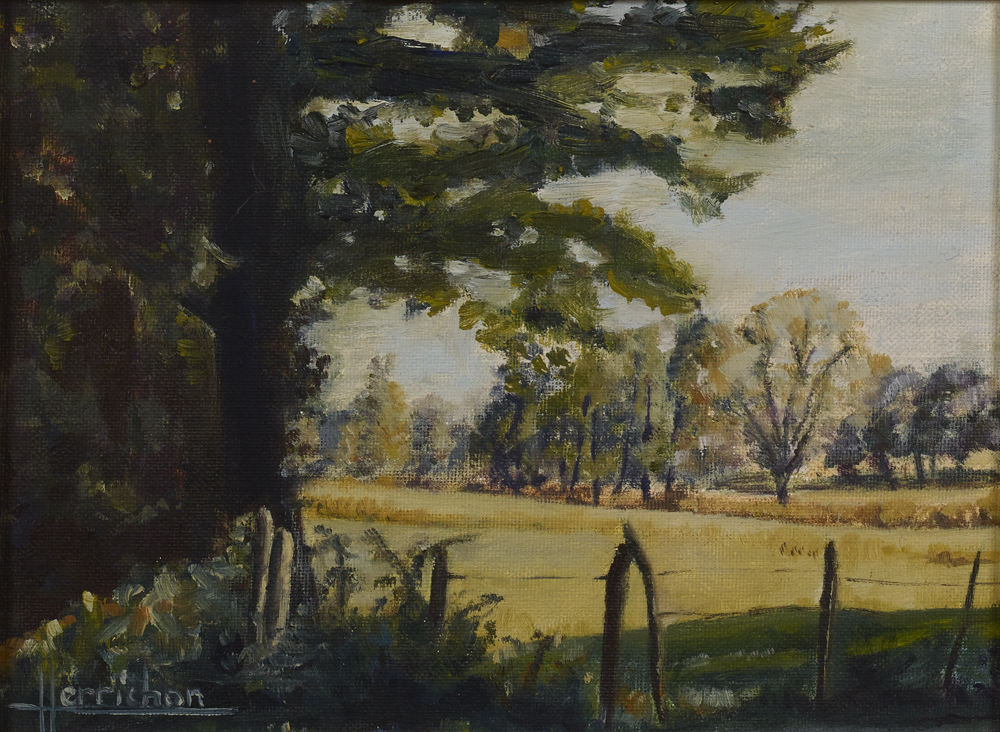 Paysage Au bout de mon chemin 27x33 200€