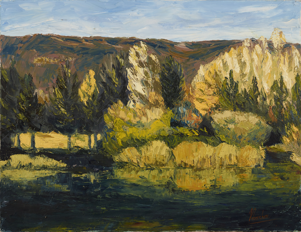 Etang 46x55 300€